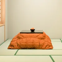 脱出ゲーム KOTATSU icon