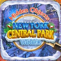 Hidden Objects New York Winter icon