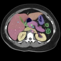 Anatomy on Radiology CT icon