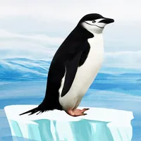 Knowee : Penguins icon