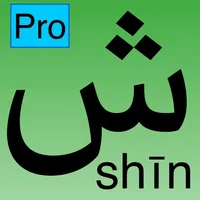 Arabic alphabet - Pro icon