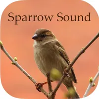 Sparrow Sounds - Free Sounds icon