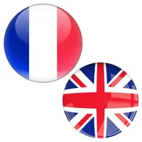 French To English Translate icon