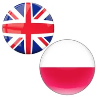 English to Polish Translate icon