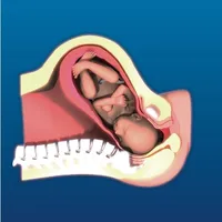 Intrapartum icon