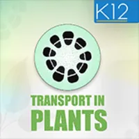 Transport in Plants Biology icon