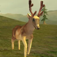 3D Deer Hunt King icon