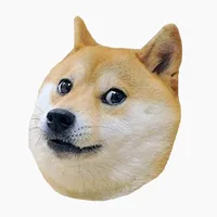 Shiba Dog's Head icon