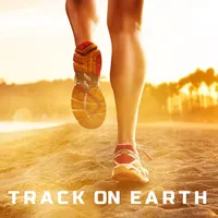 Track on Earth icon