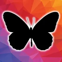 Learn shapes letters & words icon