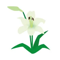 Sticker lily icon