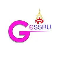 GE SSRU Application icon