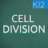 Process of Cell Division icon