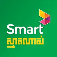 SmartNas icon