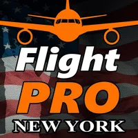 Pro Flight Simulator New York icon