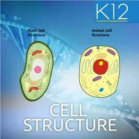 Biology Cell Structure icon