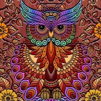 Coloring Owl:Paint Color Cases icon