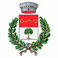 Comune di Osio Sopra icon