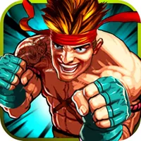 Wonder Kungfu Fight 3 icon