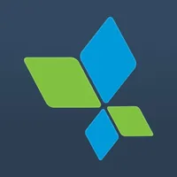 AppsFlyer icon