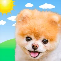 Boo Weather: Pomeranian Puppy icon