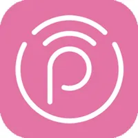 Payowallet icon