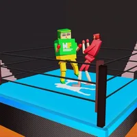 Drunken Wrestlers 3D Fighter icon