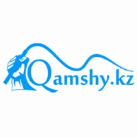 Qamshy icon