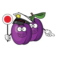 Kde stojí švestky icon