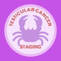 Testicular Cancer Staging icon