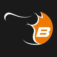 Super B - Be in charge icon