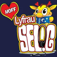 Hoff Lyfrau Selog icon