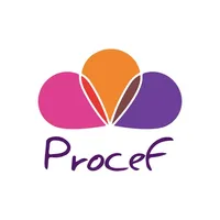 Procef icon