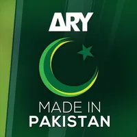 Ary Mip icon