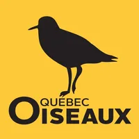 Magazine QuébecOiseaux icon