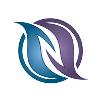 N-FLUX DC icon