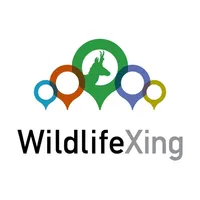 WildlifeXing icon