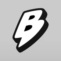 Партнёр Broniboy icon