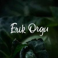 Erik Orgu – elu ilma dieedita icon