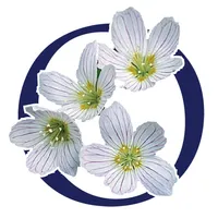 Oxalis Osteopathy icon