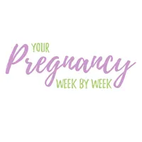 Your Pregnancy by Week icon