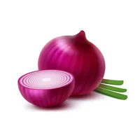 Animated Onions Stickers icon