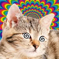 Cat Hypnosis Simulator icon