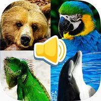 Animal Sounds Education Game icon