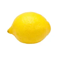 LemonVision icon