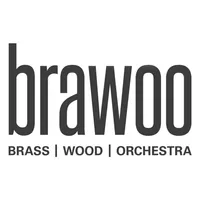 BRAWOO – Brass Wood Orchestra icon