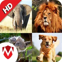 150+ Animal Sounds Lite icon