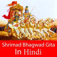 Bhagavad Geeta in Hindi icon