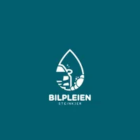 Bilpleien Steinkjer AS icon