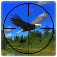 Wild Bird Hunter America icon